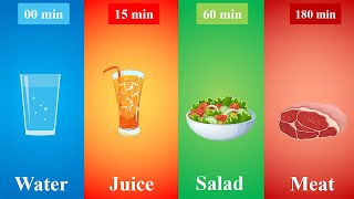 Food Digestion Time | How Long Foods Stay In Your Stomach | How Long Different Foods Take to Digest