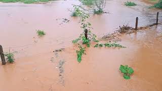 Até ontem estava seco, mas vejam como está hoje após uma enorme estiagem. 19/01/2026