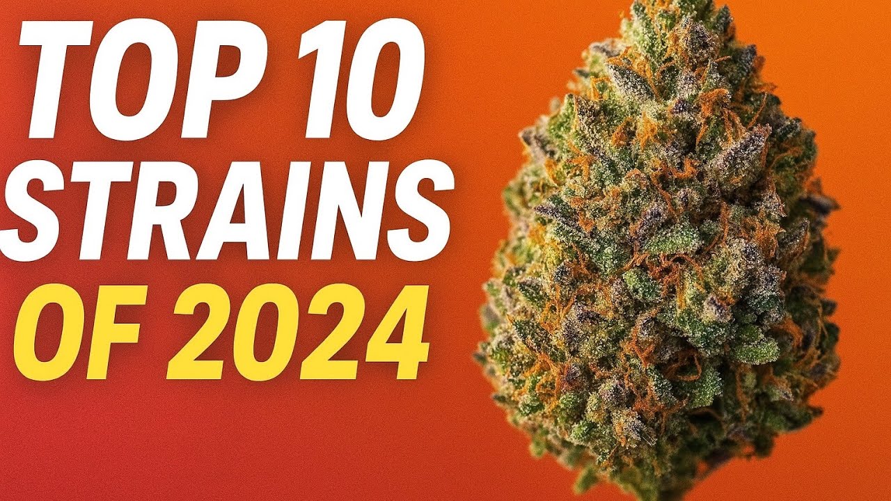 Top 10 Strains of 2024