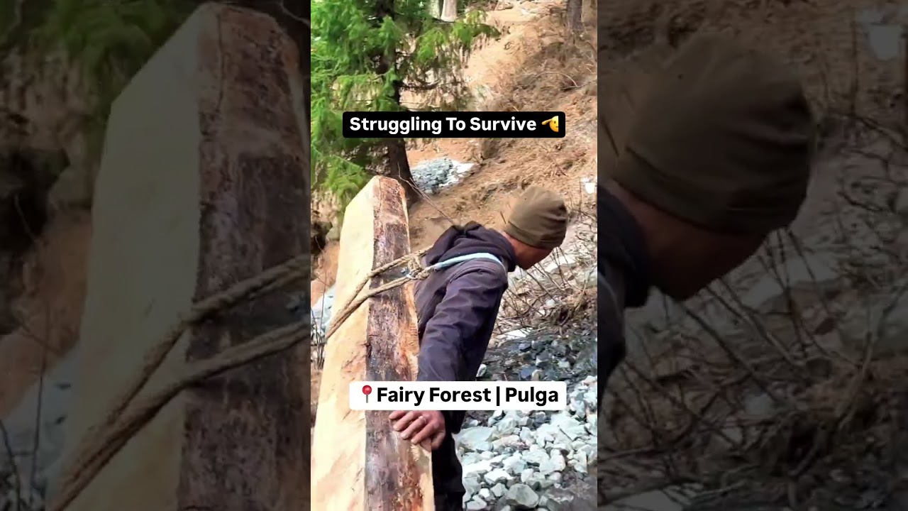 Real Life Heroes | Village Struggle | Himachal 