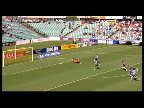 Sydney FC vs Perth Glory on Sunday, 21st November 2010 in round 15 of the Hyundai A-league 2010/11 season. The Match was played at Parramatta Stadium. The final result was Sydney FC 2-0 Perth Glory. The goal scorers were Shannon Cole 75' and Alex Brosque 81'. The crowd was 6654.