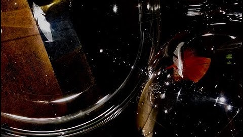 nonPromo: The Ties That Bind