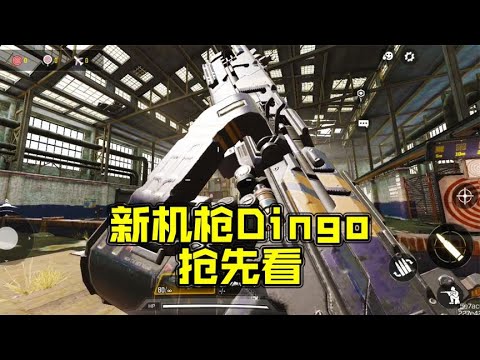 使命召唤手游新机枪Dingo属性局内展示抢先看【每天瞎乐呵】
