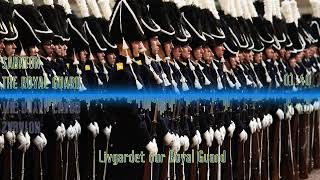 The royal guard - Sabaton [ Lyrics & Visualizer ]