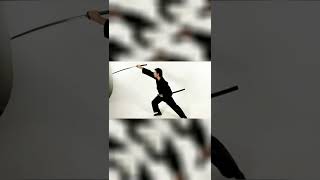 Iaijutsu Die Kunst Des Schwertziehens