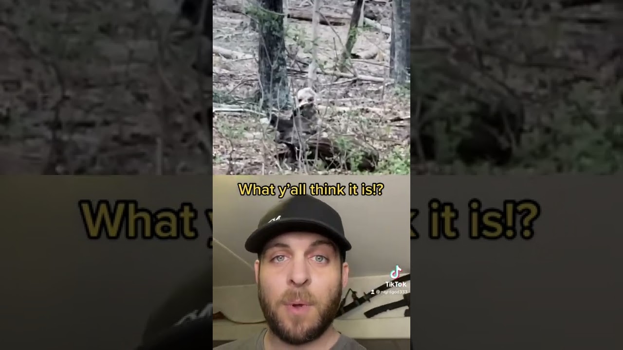 Paranormal Creature in Woods 