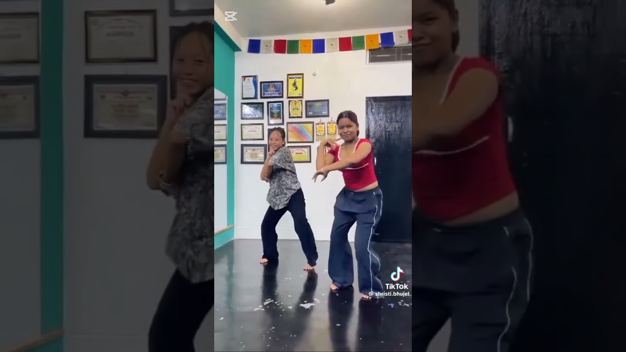 Mix dance made by subina neupane.