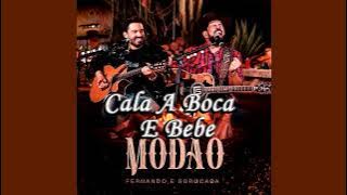 FERNANDO E SOROCABA - CALA A BOCA E BEBE | CLIPE NOVO