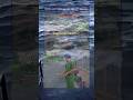 Sao бє M TrГЄn MбєЎng KhГЎc NgoГ I Д б ќi QuГЎ рџ Јрџ Memes Funny Shorts Viralshort Shortsviral Sao бє M TrГЄn MбєЎng KhГЎc NgoГ I Д б ќi QuГЎ рџ Јрџ Memes Funny Shorts Viralshort Shortsviral