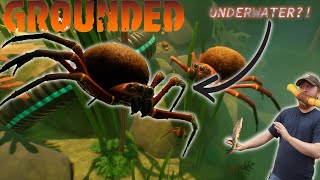 The Koi Fish Pond!- Lets Play Grounded pt3