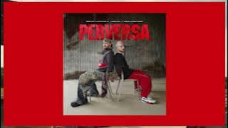 PEDRO SAMPAIO, J Balvin   PERVERSA ft  Take A Daytrip Ext Yoyo Dj 305