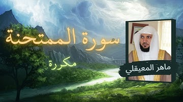 سورة الممتحنة مكررة القارئ ماهر المعيقلي
