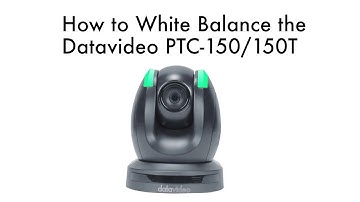 【How-To 教學影片】如何設定PTC-150/150T PTZ雲台攝影機的白平衡？｜Datavideo洋銘科技