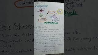 #ignou #biology #cellbiology #mzo01#education