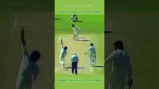 Steve Waugh Vs Wasim Akram Crickets Ultimate Showdown