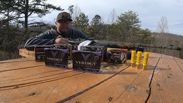 Cover Image for 2023 Shotgun Pattern Test Stoeger M3020