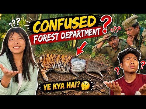 Confused Forest Department Roaster M2 Naga