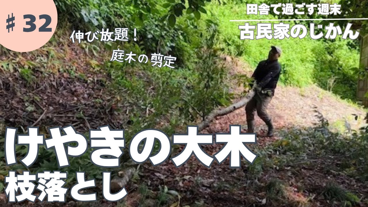 田舎の夏♯032／垂れ下がったけやきの大木の枝を落とす／真夏の剪定作業