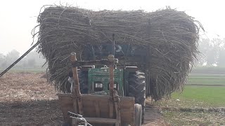 گنے کی لمبائی چیک کریں|cheque the length of sugarcane stick|short|agricultural|farm