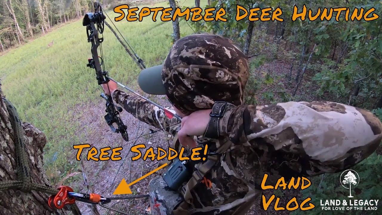 September Archery Deer Hunting Saddle Hunting Whitetails YouTube September Archery Deer Hunting Saddle Hunting Whitetails YouTube