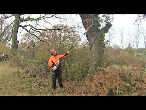 Stihl HTA 85 Cordless Telescopic Pole Pruner, Testing/Review ( Any Good )