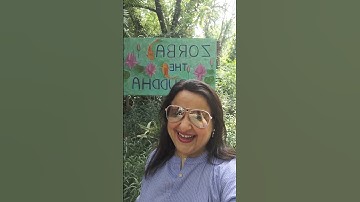 NLP Master Practitioner to transform your life