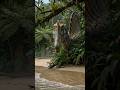 Spinosaurus: The Largest Predator Ever — And It Lived in Water #Shorts