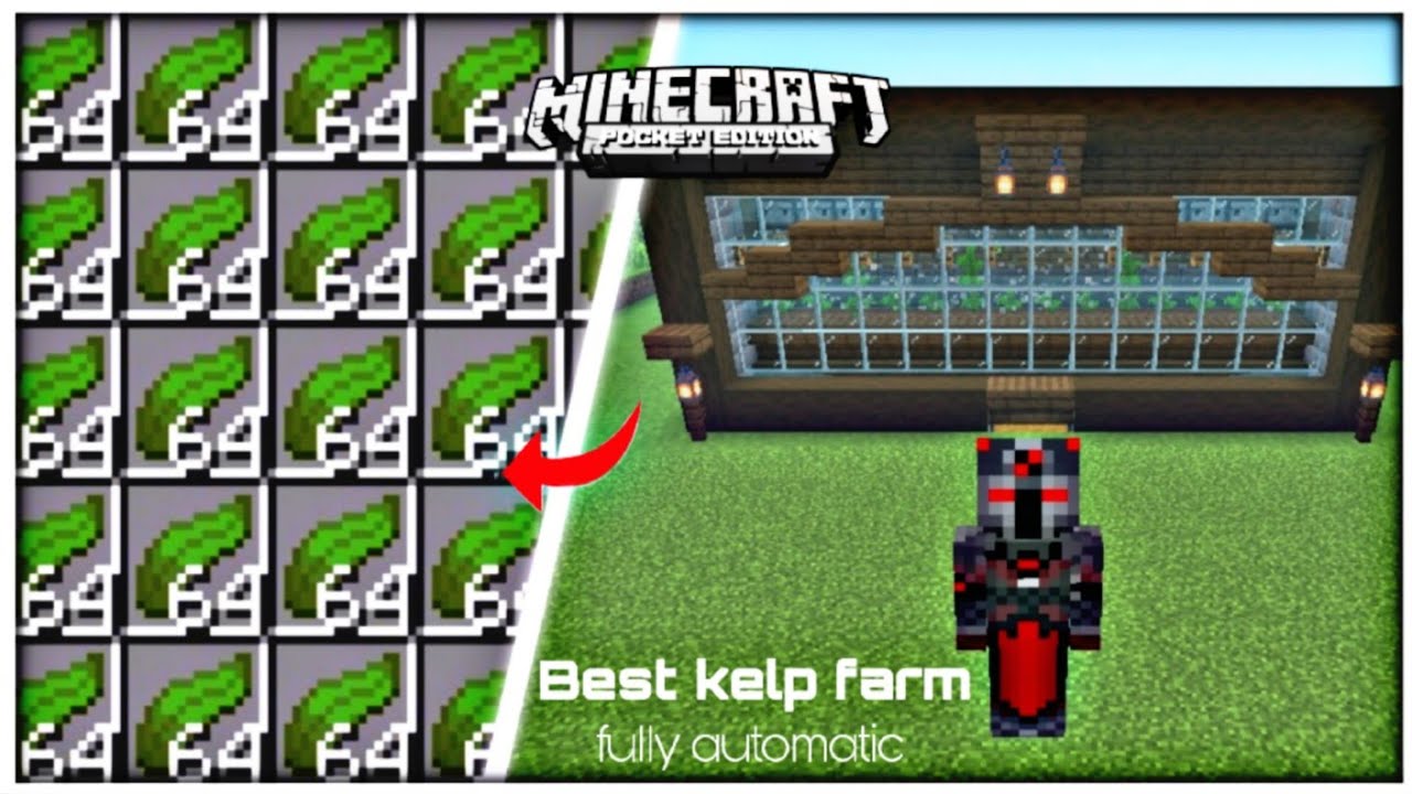 How to make an automatic kelp farm in minecraft pe 1.20 (java _ bedrock ...