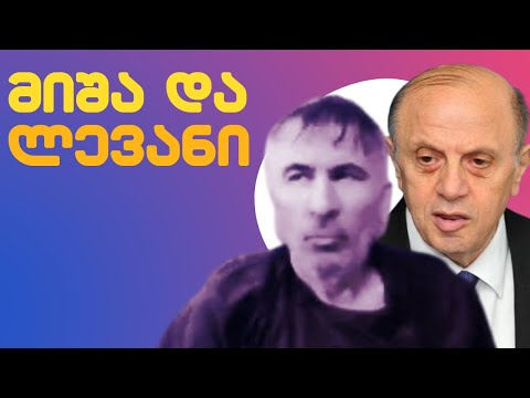 მიშა და ლევან ბერძენიშვილი/ როგორ გამოიყვანენ მიშას?! /#სამნი \u0026 Co. /26.01.2023