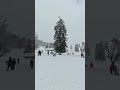 When in Bavaria... You Get Outside | Steibis, Allgäu #travel #business #winter