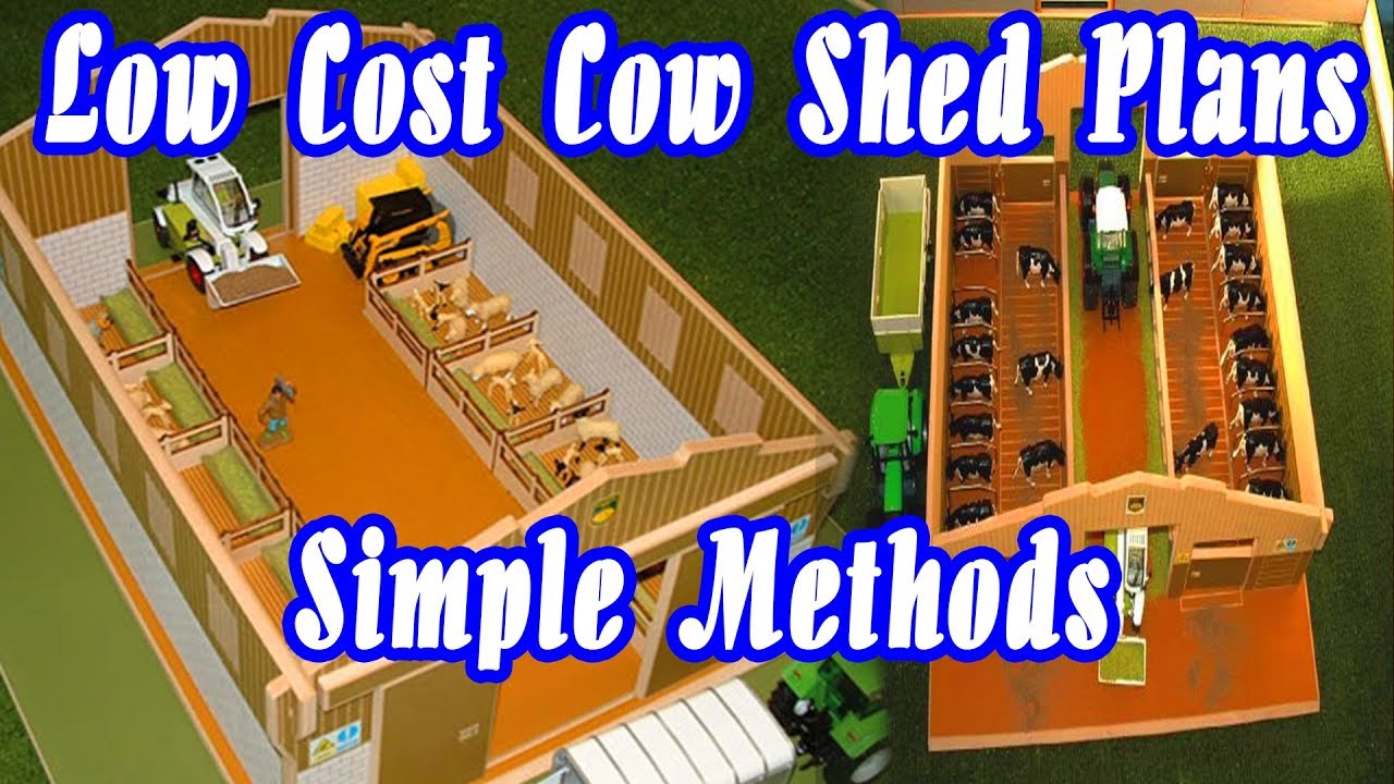 Low cost cow farm shed desings Simple farm designs - YouTube