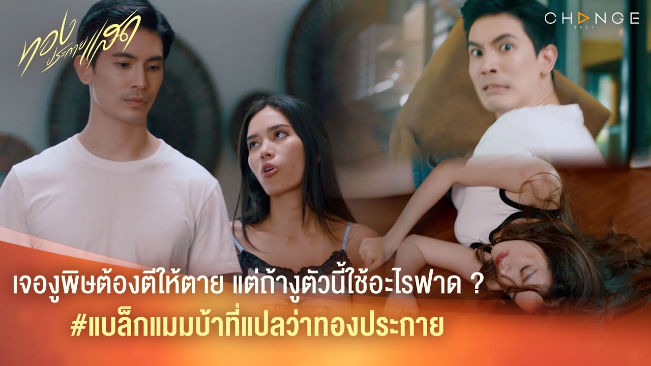 ทองประกายแสด – เจองูพิษต้องตีให้ตายแต่งูตัวนี้ใช้อะไรฟาด? #แบล็กแมมบ้าที่แปลว่าทองประกาย [Highlight]