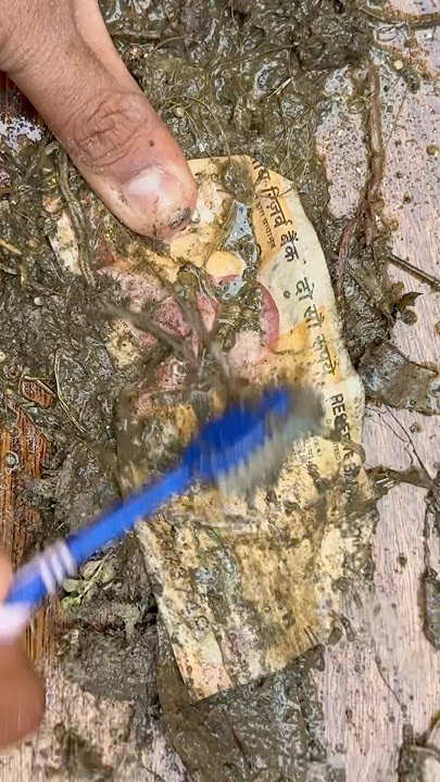 Cleaning DIRTIEST INDIAN NOTE for £543💰🧽 #shorts