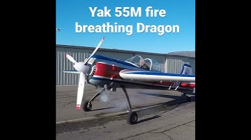 Yak 55M Fire Breathing Dragon