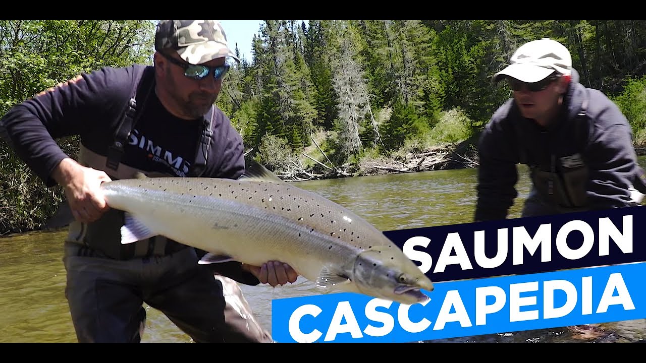 Saumon de la Cascapédia Christian Fournier 12 mois par année Ép 10