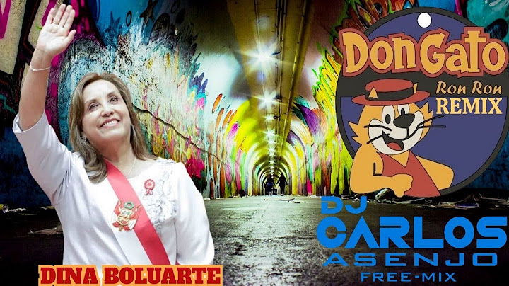 DON GATO RON RON (DjCarlosAsenjo)  DINA BOLUARTE