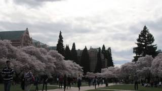 UW Quad 2nd Timelapse