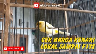 PRICES OF CANARIES FROM LOCAL TO F1YS AT DEPOK SOLO BIRD MARKET