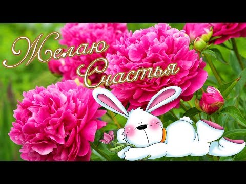 ЖЕЛАЮ СЧАСТЬЯ! МОИМ ДРУЗЬЯМ ПОЖЕЛАНИЯ В СТИХАХ!