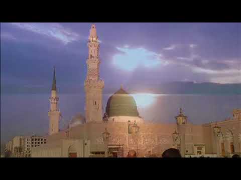 كلمات للعبرة السيد شفيق الموسوي 6 264