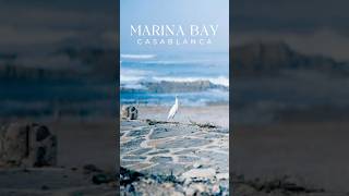 A day at Marina Bay | 🇲🇦 #marina #casablanca