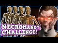 SKYRIM NECROMANCY ONLY CHALLENGE IS BROKEN - Skyrim is a Perfectly Balanced game with no exploits