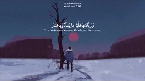 القاريء عمر الدريويز || حالات واتساب قرآن كريم