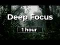 Deep Focus Study Music 🌫️ | Calm Music for Concentration & Reading (1 Hour)