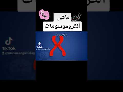 ماهى الكروموسومات احياء