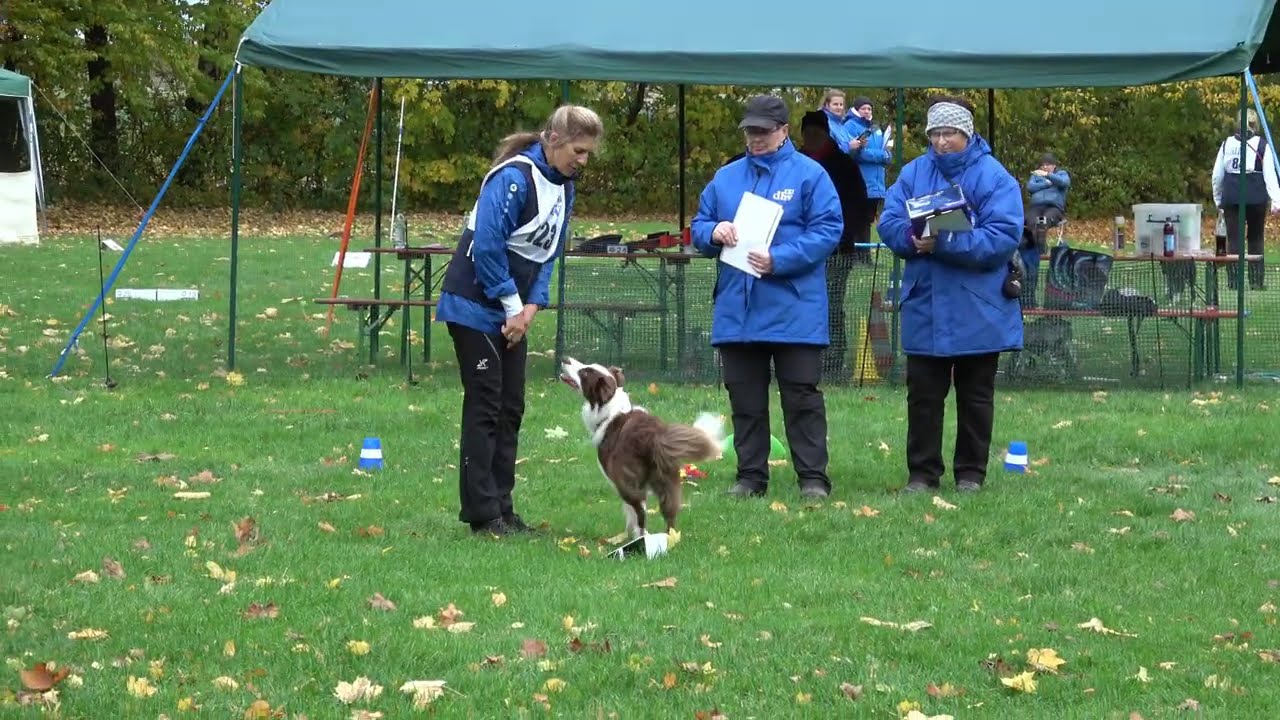 Team Wenzel dhv DM FCI Maisy