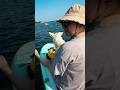 Testing Sap On The Black Sea Blacksea Krasnodarkrai Bolshoyutrish Sukko 2025 Testing Sap On The Black Sea Blacksea Krasnodarkrai Bolshoyutrish Sukko 2025