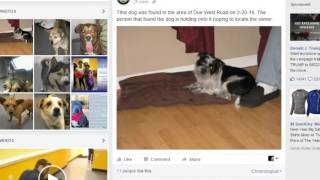 Animal Control on Facebook