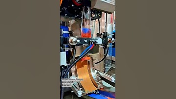 Automated Granule Packaging Machine with Multihead Weigher #manufacturing