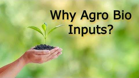 Everything You Need To Know About Agro Bio Inputs | Smart Agri Hub
